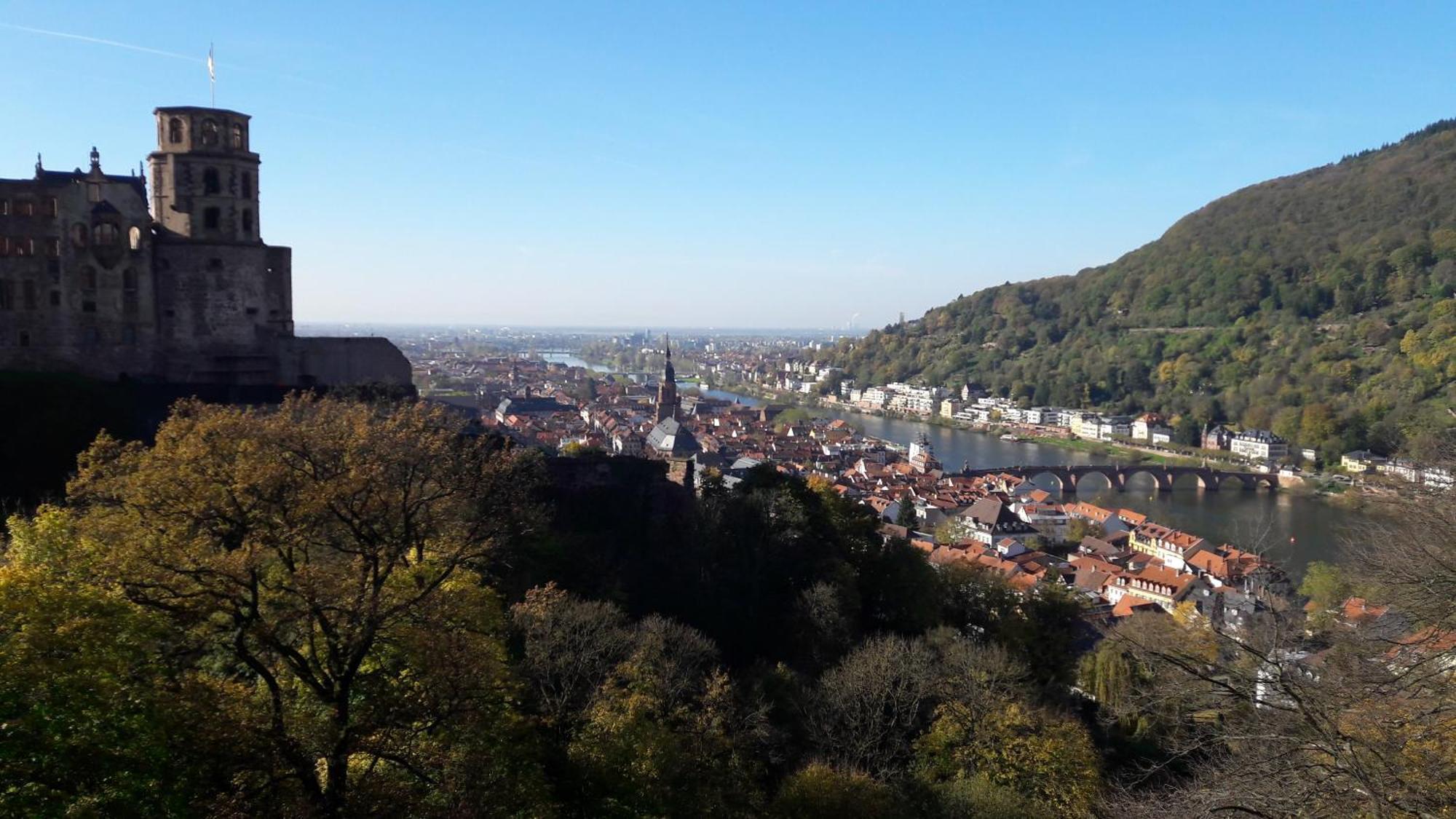 Ferienwohnung Neckarblick ไฮเดลเบิร์ก ภายนอก รูปภาพ
