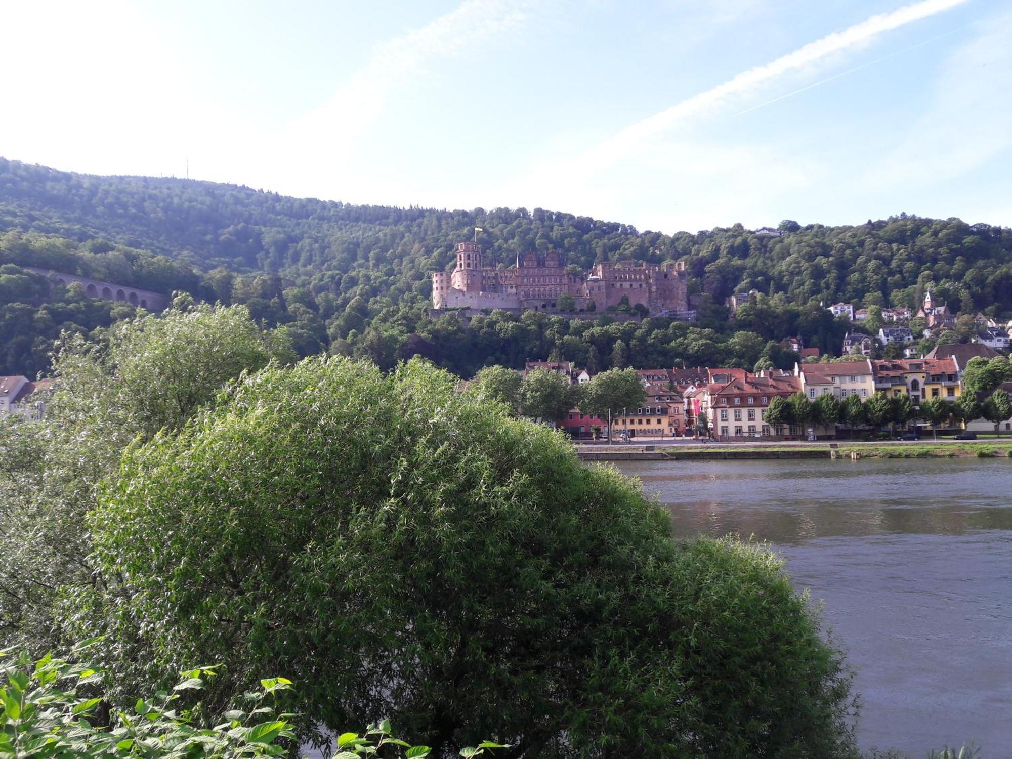 Ferienwohnung Neckarblick ไฮเดลเบิร์ก ภายนอก รูปภาพ