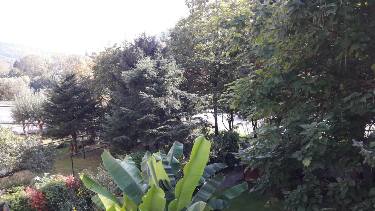 Ferienwohnung Neckarblick ไฮเดลเบิร์ก ภายนอก รูปภาพ