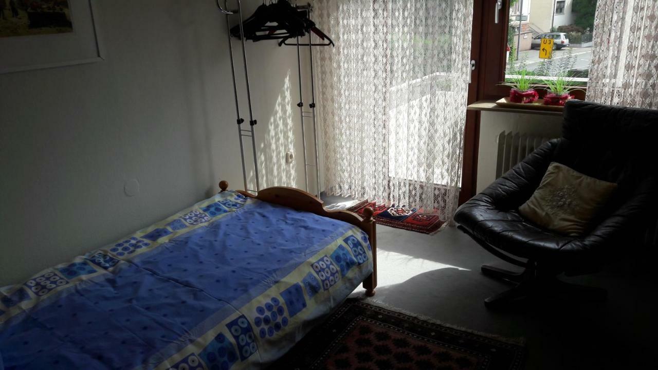 Ferienwohnung Neckarblick ไฮเดลเบิร์ก ภายนอก รูปภาพ